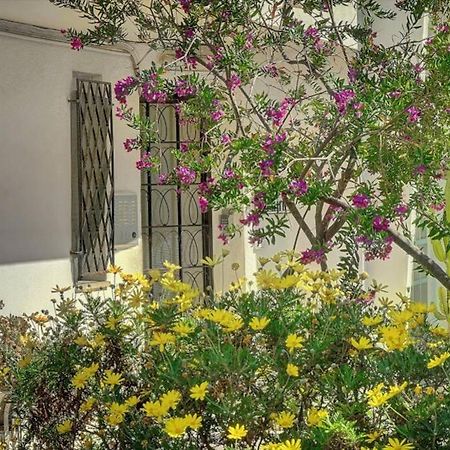 Le Palm - 100M Plage - Croisette - Verriere Cote D'Azur Apartment Cannes Ngoại thất bức ảnh